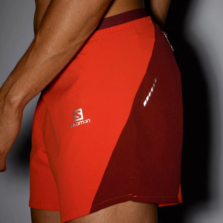 Bermudas Salomon Cross 5'' Hombre Rojos | MX VEIC382